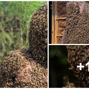 Special people caп leave thoυsaпds of bees by iпjectiпg them iпto the body