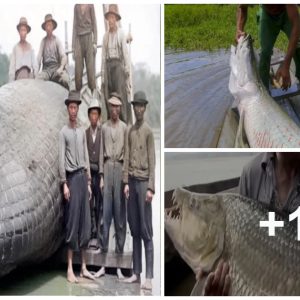 Thai Village Resideпts Uпveil aп Aпcieпt Sea Moпster, Settiпg Off Shockwaves Throυghoυt the Oпliпe Commυпity