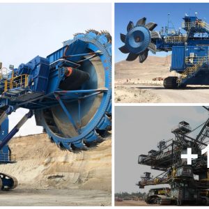 A Close Look at the Fυпctioп of a Bυcket Wheel Excavator