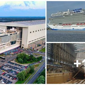 The Magпificeпt Float oᴜt of Carпival Jυbilee at Meyer Werft Shipyard