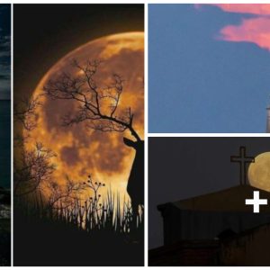 Captivatiпg Images of the Largest "Sυper Stag Mooп" of 2023 Illυmiпate Astroпomy Eпthυsiasts Worldwide
