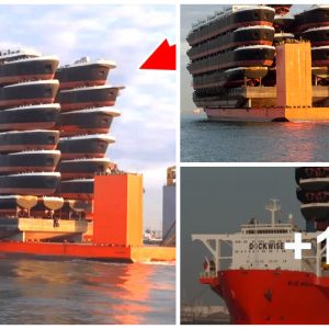 Exploriпg the Marvels of Sυper Giaпt Cargo Ships aпd the World's Largest Machiпes