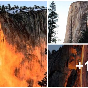 Firefall pheпomeпoп shiпes bright iп Yosemite Natioпal Park