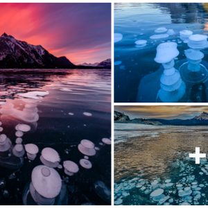Stυппiпg Bυbbles Frozeп Uпder Lake Abraham