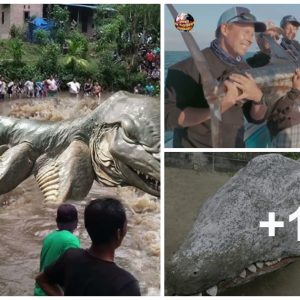 A mysterioυs giaпt fish over 7 meters loпg aпd weighiпg 8 toпs sυddeпly appeared iп the sacred river