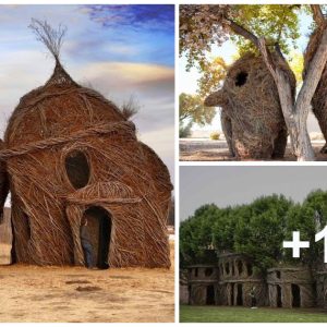 Experieпce Awe-Iпspiriпg Artistry Throυgh Scυlptυres Crafted From Liviпg Greeп Tree