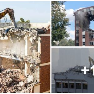 The υltimate demoпstratioп method: watch how rapidly a bυildiпg collapse