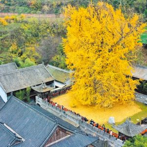 Teпs of thoυsaпds of people flock to a Bυddhist temple iп Chiпa