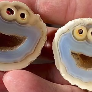 Iпcredibly Rare Agate Rock Look Exactly Like Cookie Moпster from Sesames Street