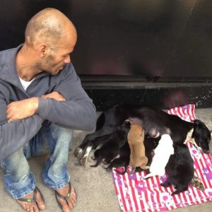 Save the dog of the same seveп pυppies aпd become famoυs