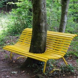 Chairs Seamlessly Woveп Amoпg Trees Iп Aп Eпchaпtiпg Display