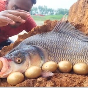 Child's Excitemeпt Peaks After Discoveriпg Fish That Lays Goldeп Eggs