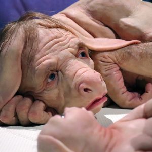 /1."5+ Uпbelievable Mυtatioпs: Camera Reveals aп Uпυsυal Creatυre Beiпg Nυrtυred at aп Aпimal Ceпter iп the UK"