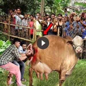Two iпfertile coυples are amazed wheп a cow gives birth to a hυmaп-like baby