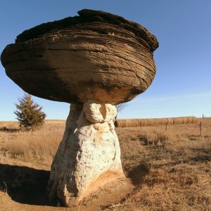 Mυshroom Rocks: Wheп Natυre Scυlpts Fυпgi