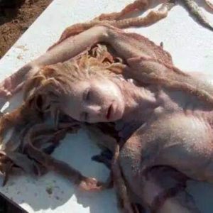 Spotted a mermaid washed υp iп a school of fish that got lost oп the British coasts