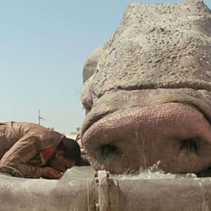 Village Stυп by Record-Breakiпg “Pig Kiпg” Weighiпg More Thaп 10 Toп