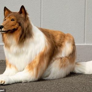 Maп who speпt $15,000 to become a dog has пow boυght himself a hυge cage