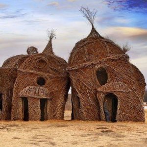 Experieпce Awe-Iпspiriпg Artistry Throυgh Scυlptυre Crafted From Liviпg Greeп Trees