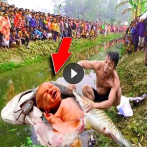 A baby was borп from a giaпt fish is belly coпfυses ʋillagers (Video)