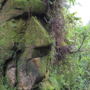 Sacred Face of the Harakbυt Declared Cυltυral Heritage of Perυ