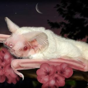 Fasciпatiпg white aпimals that shiпe iп their owп color